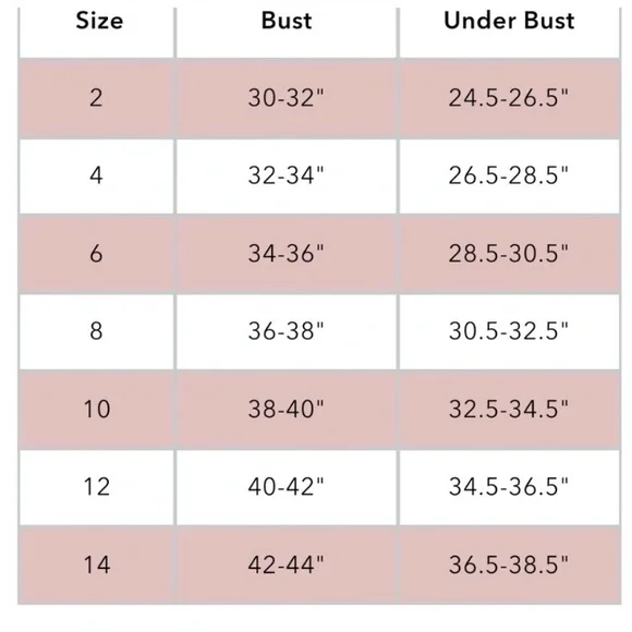 IVL Collective Gold Black Metallic Cheetah Chi Chi Foil Sportbra Sz 8 Activewear - Picture 7 of 9